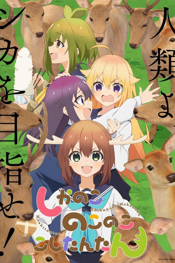 [Shikanoko Nokonoko Koshitantan]